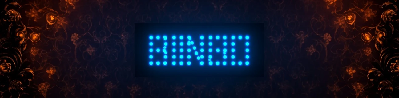 Santrauka apie bingo internete